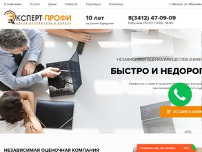 Эксперт-Профи