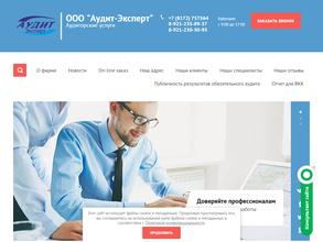 Аудит-Эксперт