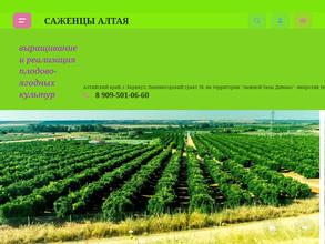 Саженцы Алтая