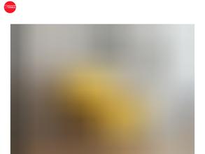 Социальная оптика