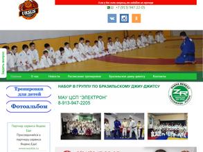 Федерация джиу-джитсу