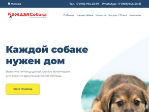 Приют для собак на Зорге