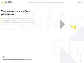 CheckMate consulting