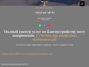 Профессионал