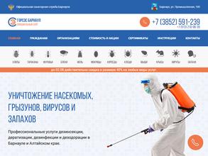 Горсэс Барнаул