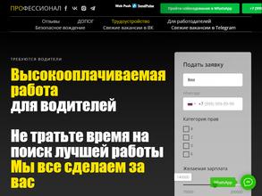 Профессионал