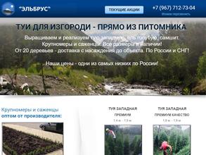 Компания по продаже туй для изгороди