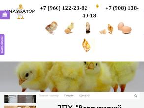 Воронежский инкубатор