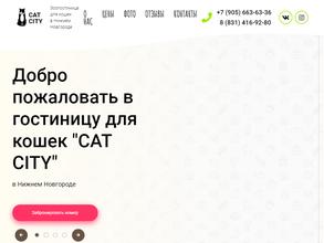 Cat city в Нижний Новгород