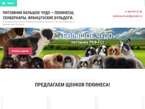 Большое чудо