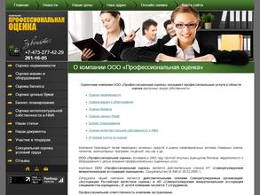 Профессиональная оценка