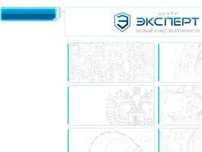 РЭАЦ Эксперт