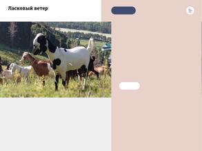 Ласковый Ветер