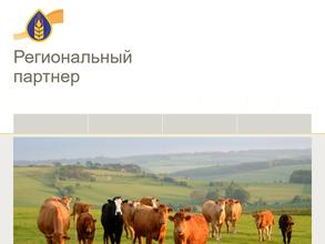 Региональный партнер