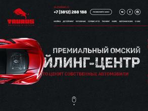 Taurus detailing&service