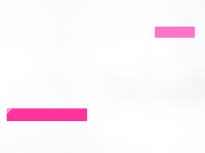 Адвокат Янина И.В.