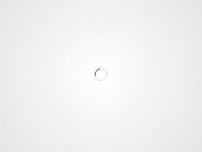 Ананасовый Экспресс