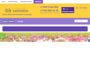 Скороход-дз