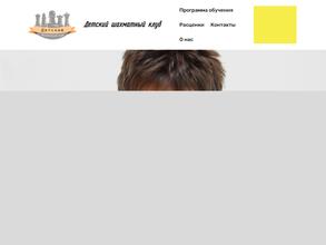 Шахматная школа