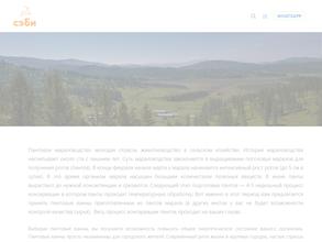 Маральник СЭБИ