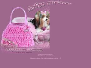 Карманный питомец