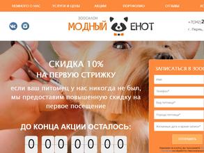 Модный енот