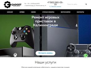 Gasget store & service