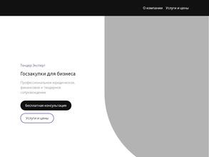 Тендер эксперт