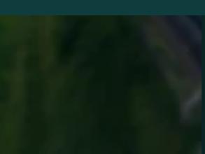 Деловой cоюз