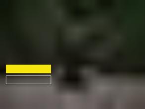 Школа Цигун и Тайцзи Мастера Ван Лина