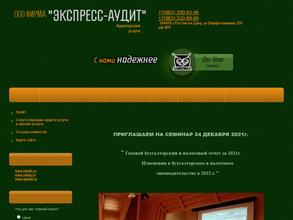 Экспресс-Аудит