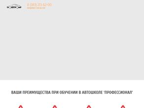 Автошкола Профессионал