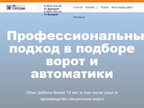 Ворота Профи 58