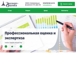 Эксперт-оценка