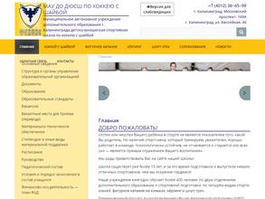 ДЮСШ по хоккею с шайбой