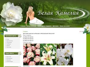 Белая камелия