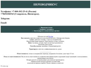 Переводчик