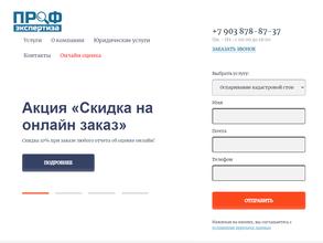 Профэкспертиза