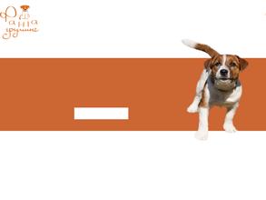 Фанта-Груминг