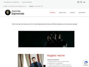 Детективное агентство Бормисова