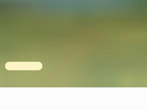 Обские просторы