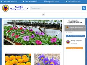 Сибирский сокол