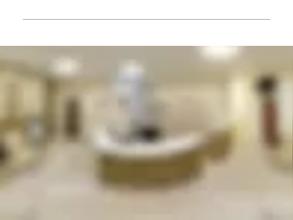 ЭндоВизион