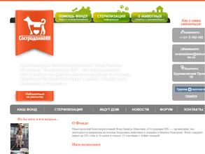 Сострадание НН