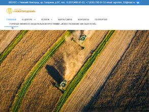 Нижегородский