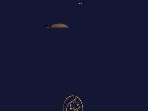 Авторские Манекены