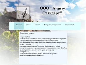 Аудит-стандарт