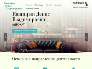 Адвокат Кашицын Д.В.
