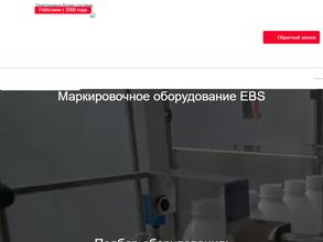 Электронные бизнес системы