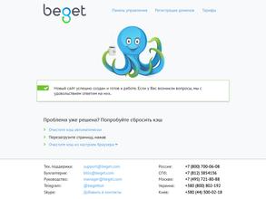 Сурвей аудит